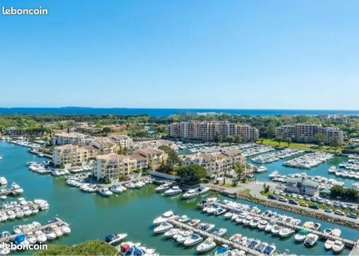 公寓 Cannes Marina Mandelieu